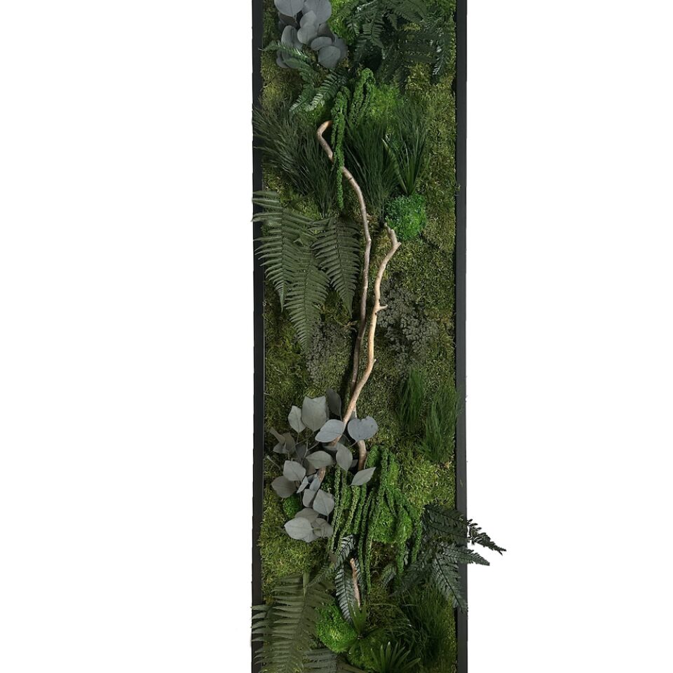 160×40 Tableau Végétal Beauty