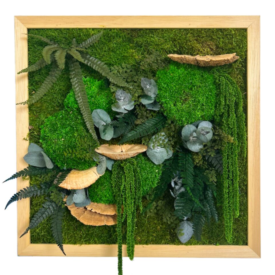 40X40 Tableau Végétal Stabilisé Amboise