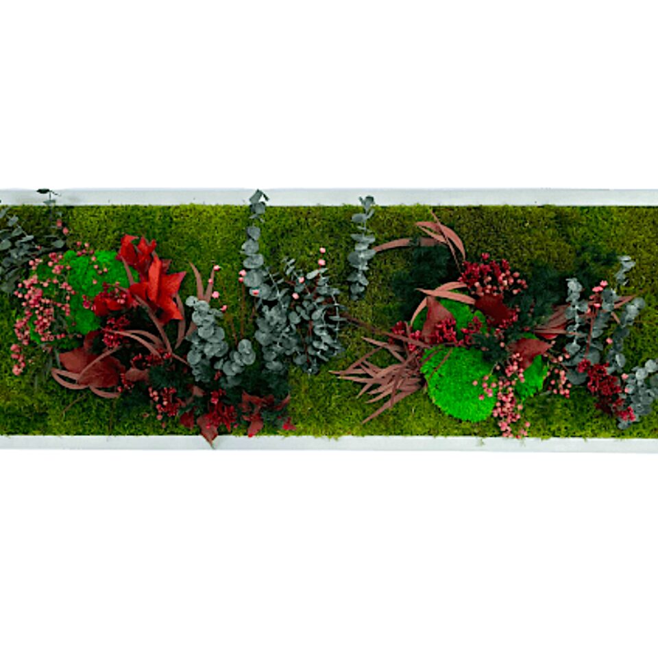 95×33 Tableau Végétal Rosy