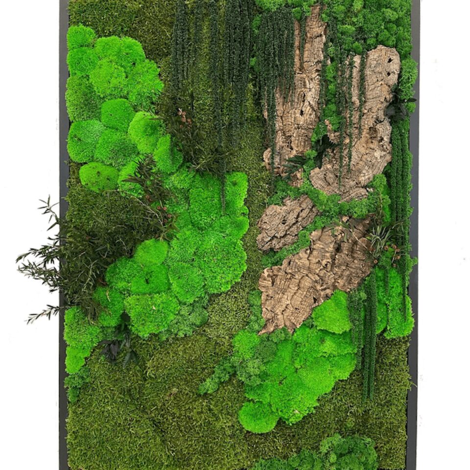100×70 Tableau Végétal Woody