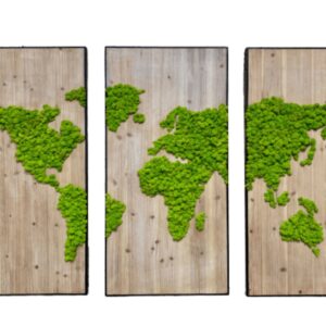 Triptyque végétal avec dessin de la carte du monde