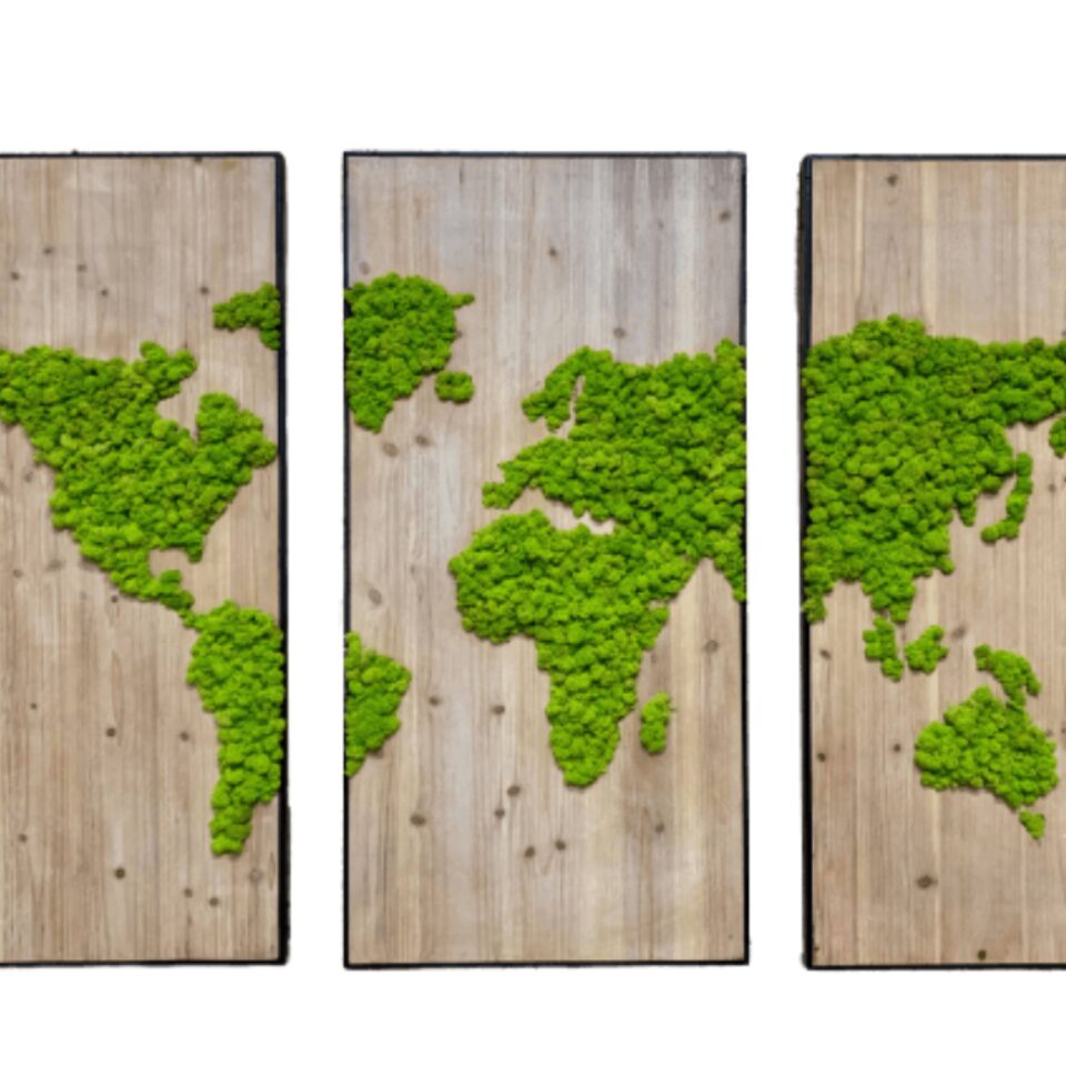 Triptyque Map Monde lichen
