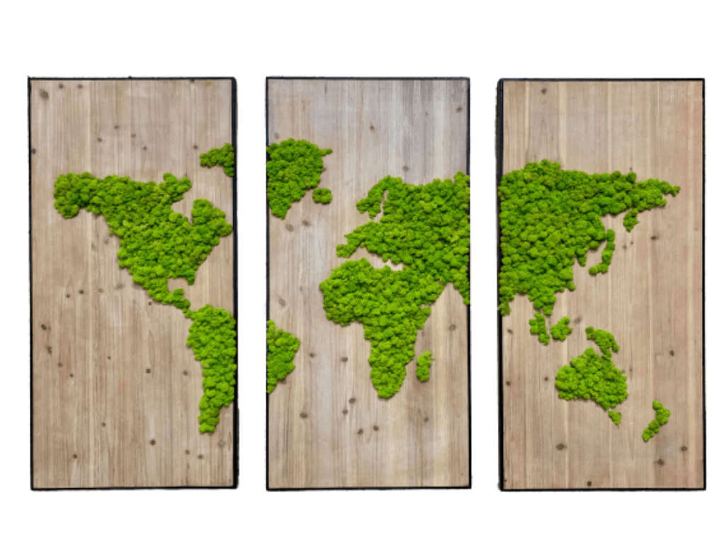 Triptyque végétal avec dessin de la carte du monde
