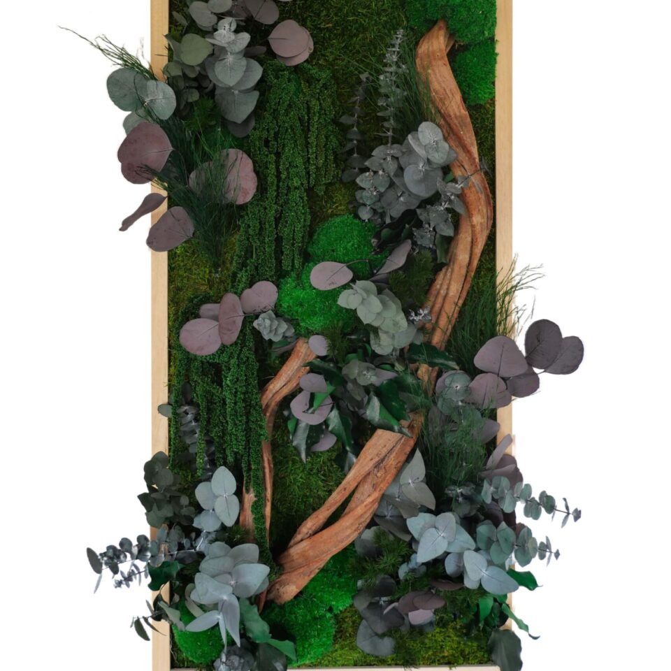 78×38 Tableau Végétal Purple