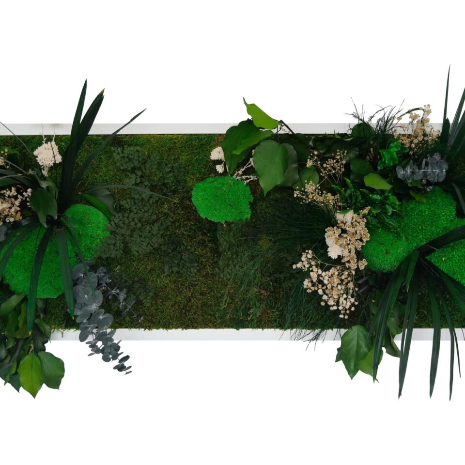 95×33 Tableau Végétal Clem