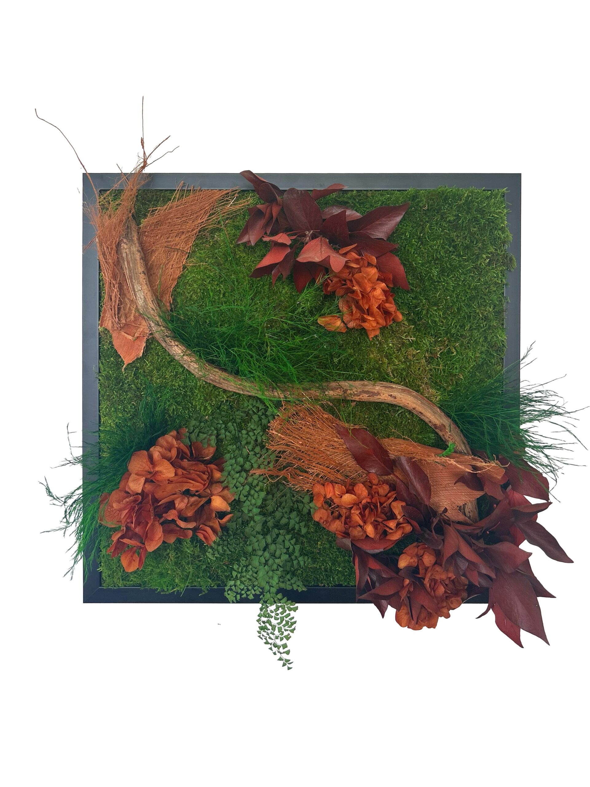 Tableau végétal avec végétaux verts et rouges