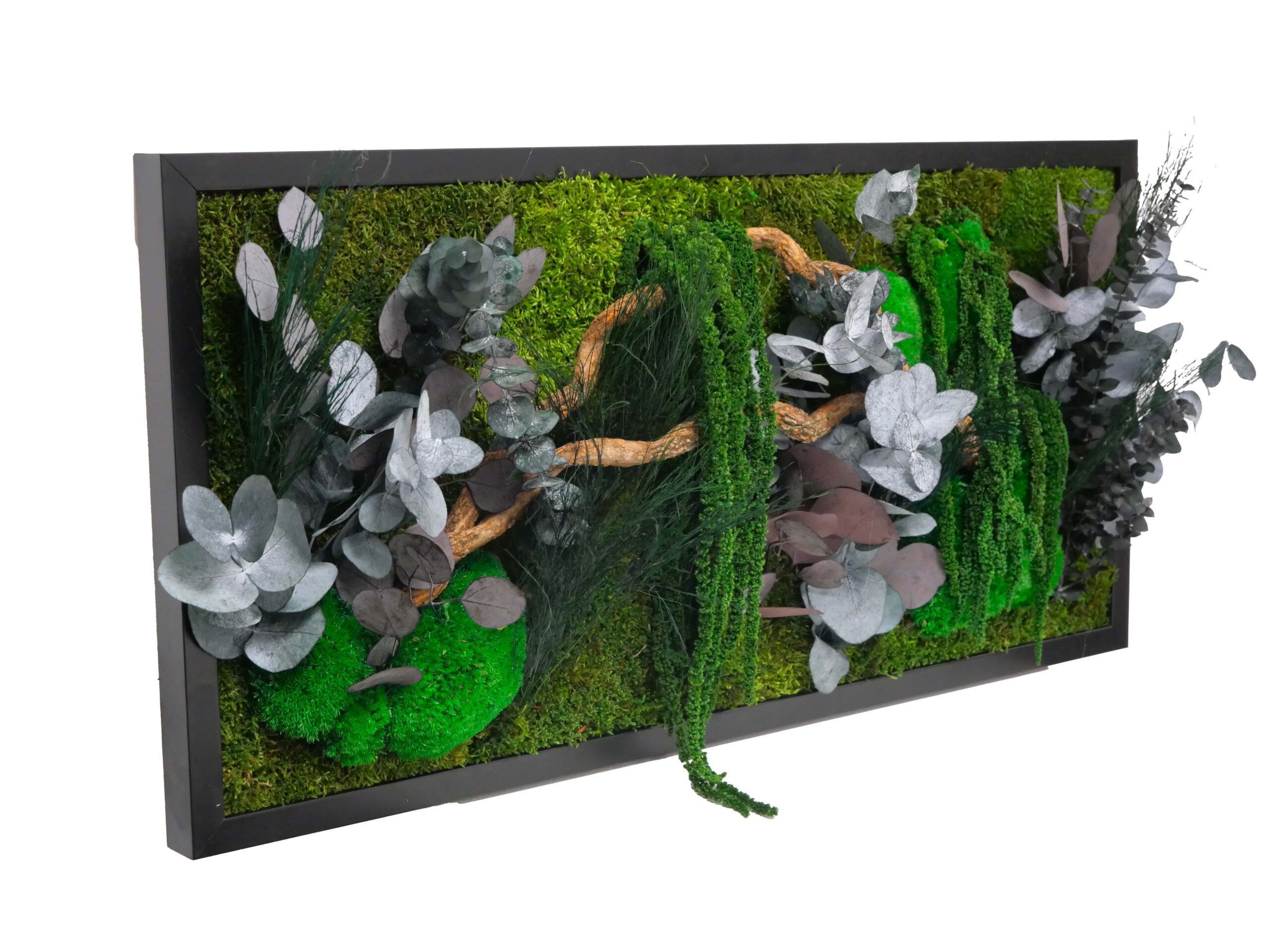 Tableau végétal avec végétaux verts et violets