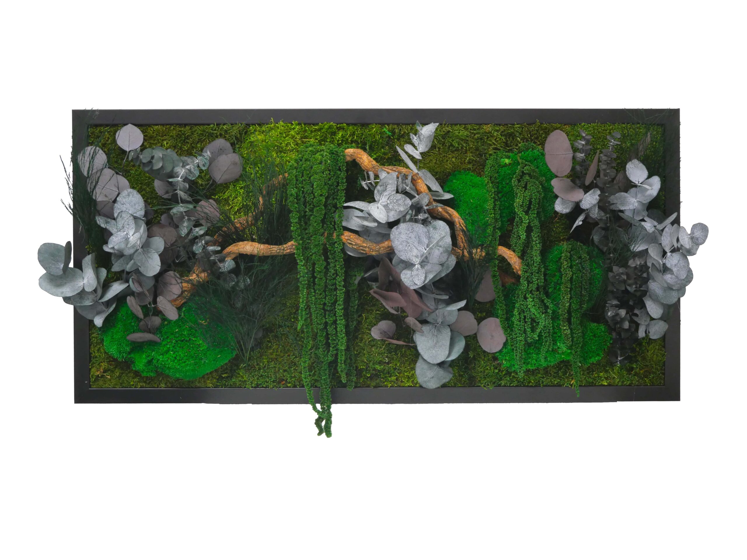 Tableau végétal avec végétaux verts et violets