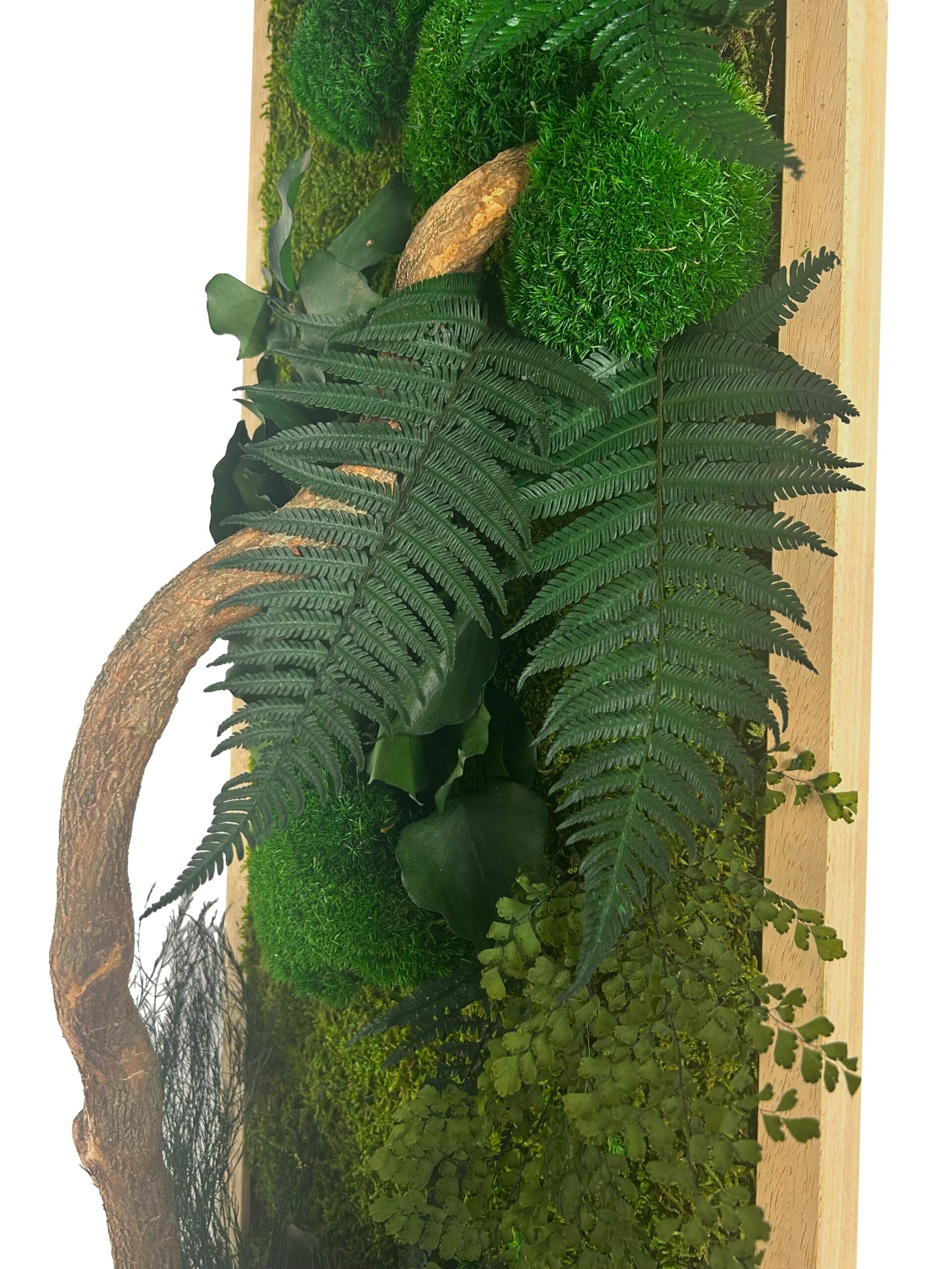 Tableau végétal avec feuillages verts et branche de bois