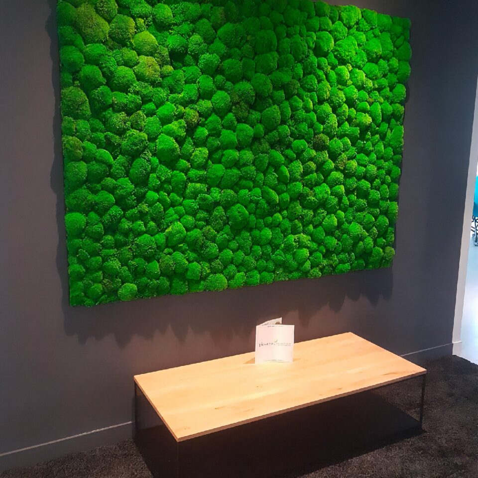 Mur végétal stabilisé