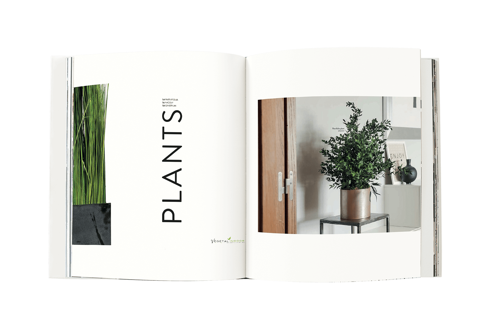 Book-arbres.png