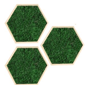 Hexagone en mousse plate verte foncée