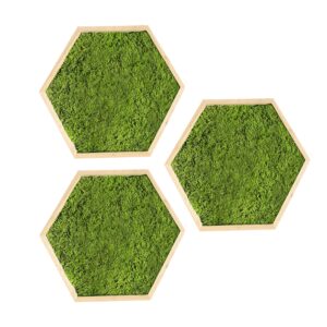 Hexagone en mousse plate verte claire