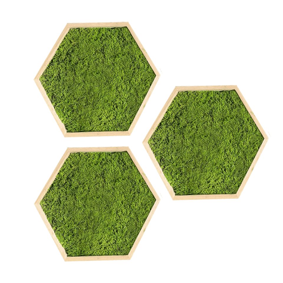 21×21 Kit de 3 Hexagones Mousse Plate Vert Clair Taille au choix S/M/L
