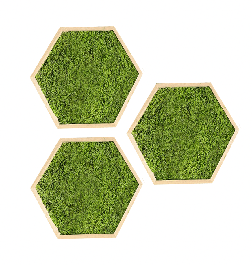 Hexagone en mousse plate verte claire