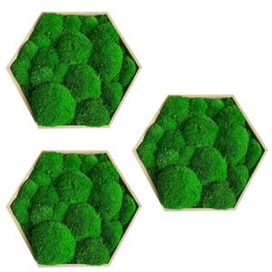 Hexagone en mousse boule verte