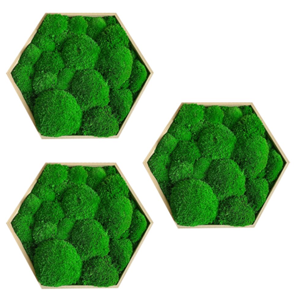 31×31 Kit de 3 Hexagones Mousse Boule Taille au choix M/L
