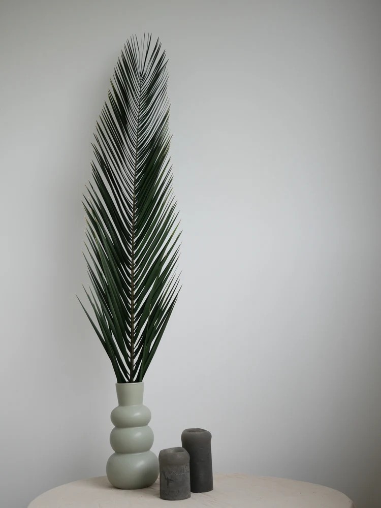 Palme de phoenix stabilisée plus serré