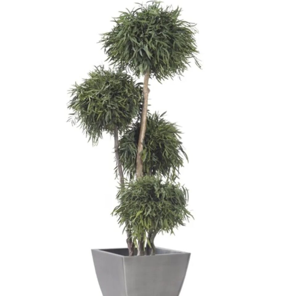 Arbre 4 Boules Nicoly Stabilisé – Vert