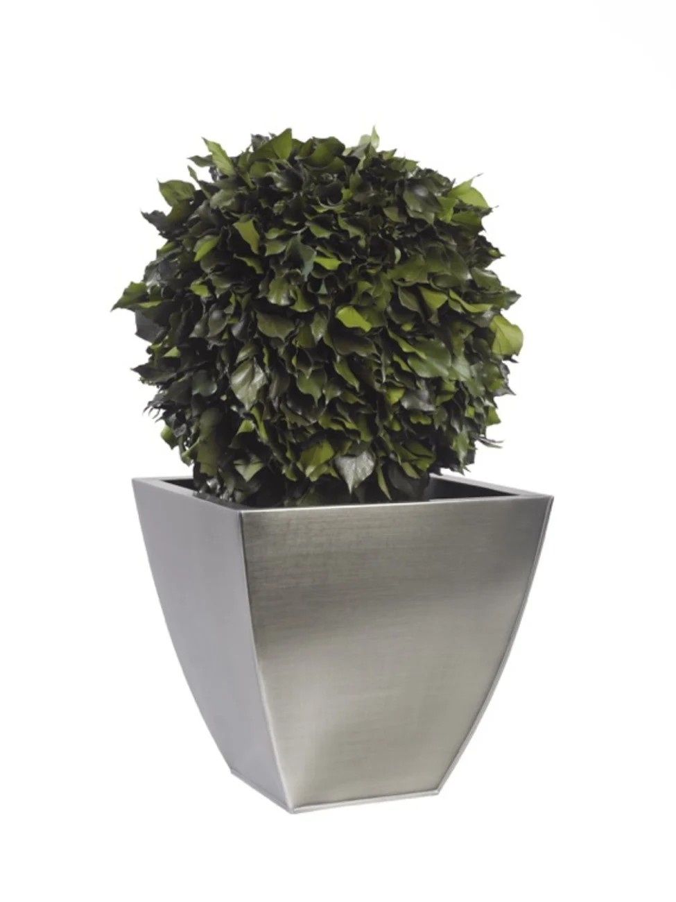 Boule de Lierre Stabilisé vert 65 cm