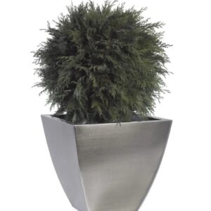 Boule de Thuya stabilisée 65cm