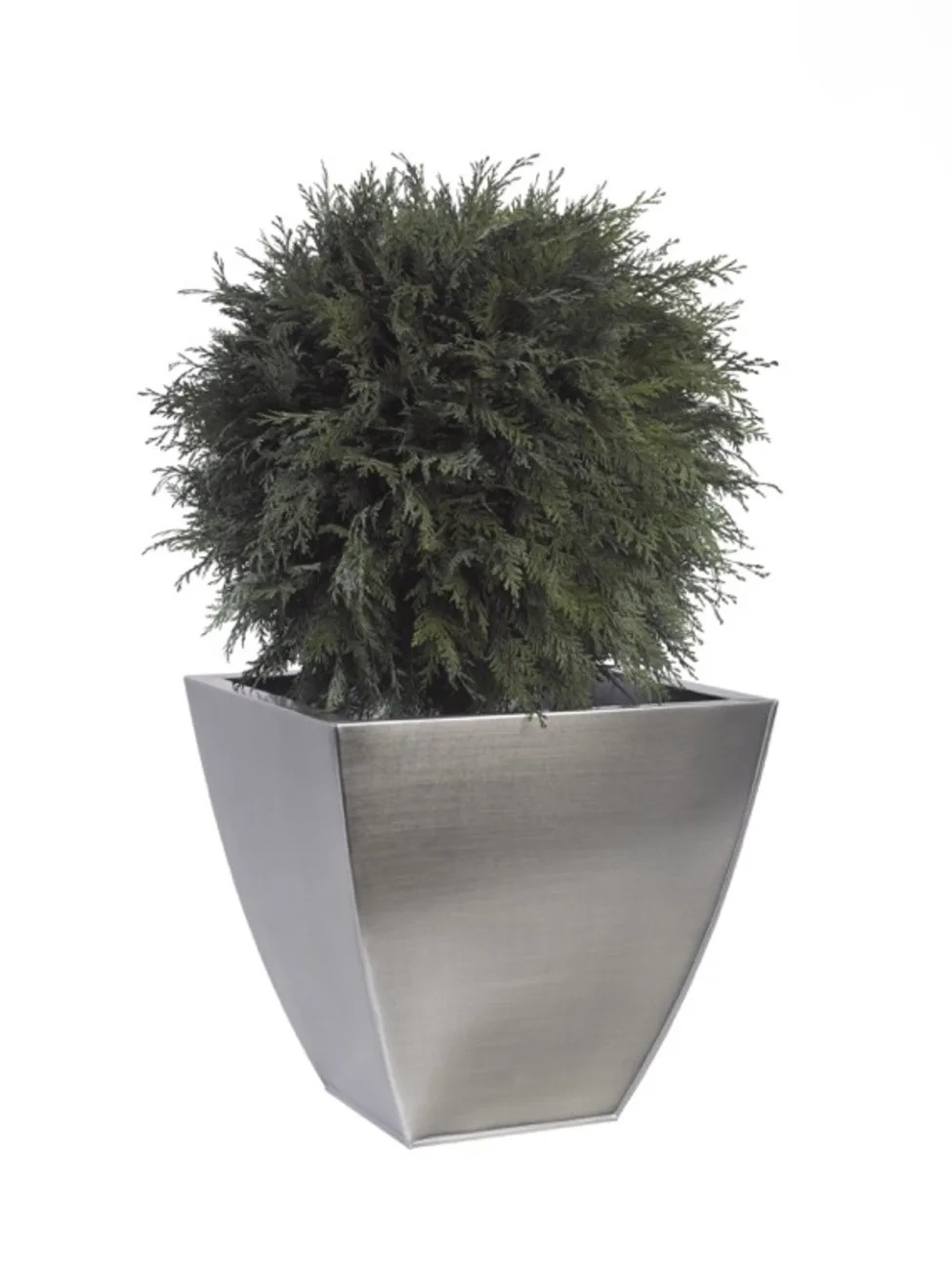 Boule de Thuya stabilisée 65cm