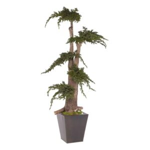 Arbre Bonsaï Juniperus vert 100cm