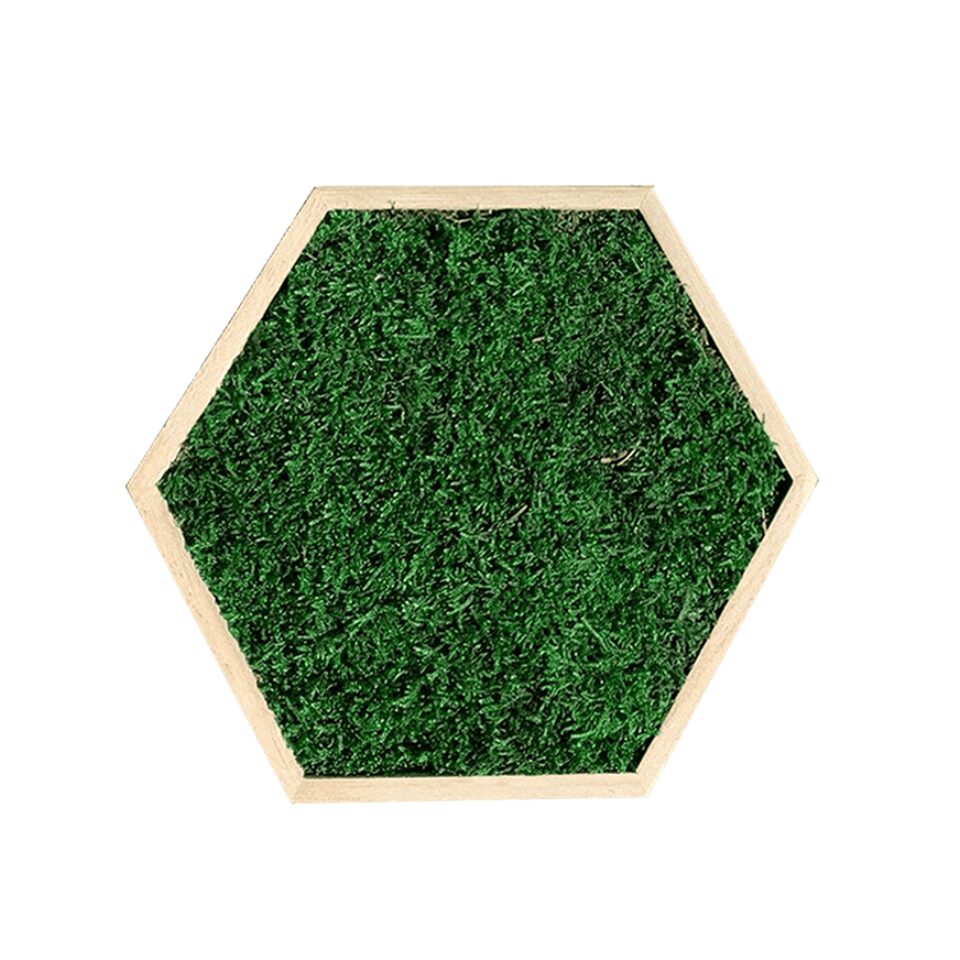 21×21 Hexagone Stabilisé Mousse Plate Foncé Taille S/M/L