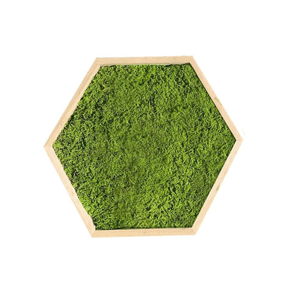 21×21 Hexagone Stabilisé Mousse Plate Clair Taille S/M/L