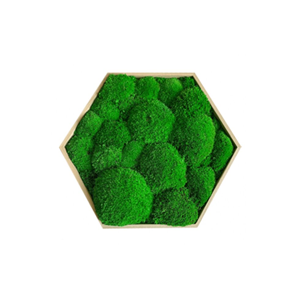 26×26 Hexagone Stabilisé Mousse Boule Taille M/L