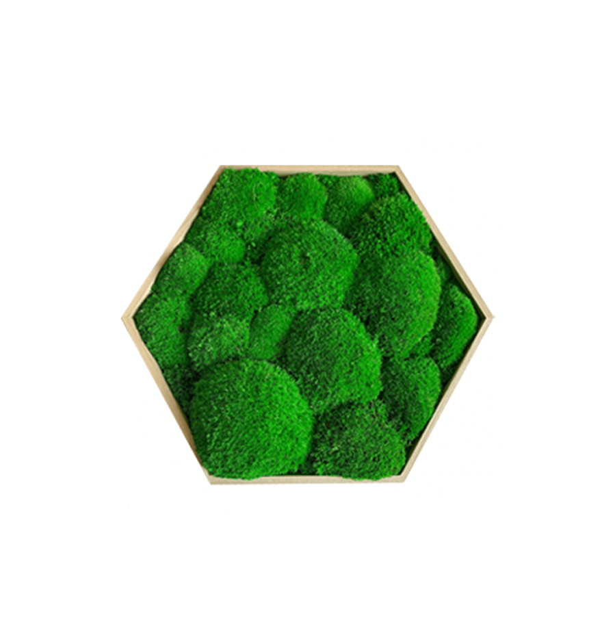 Hexagone en mousses boules vertes