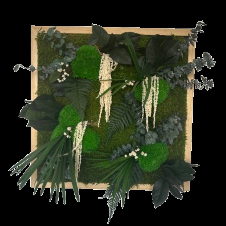 50X50 Tableau Végétal Montplaisir