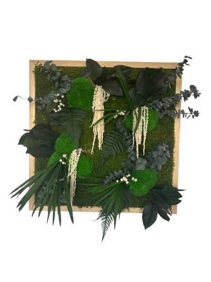 50X50 Tableau Végétal Montplaisir