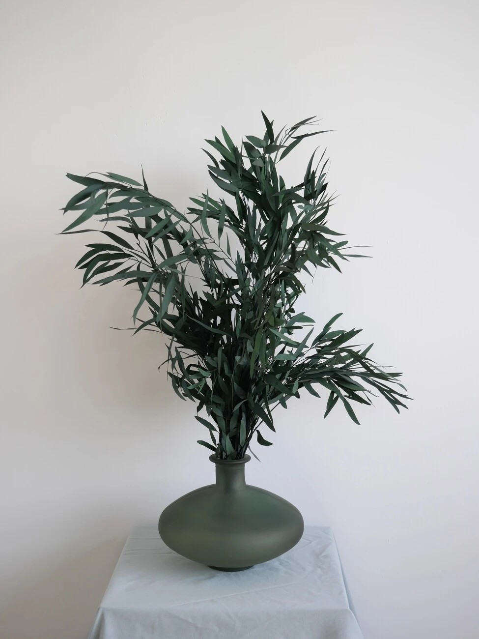 Eucalyptus nicoly vert stabilisé décoration intérieure