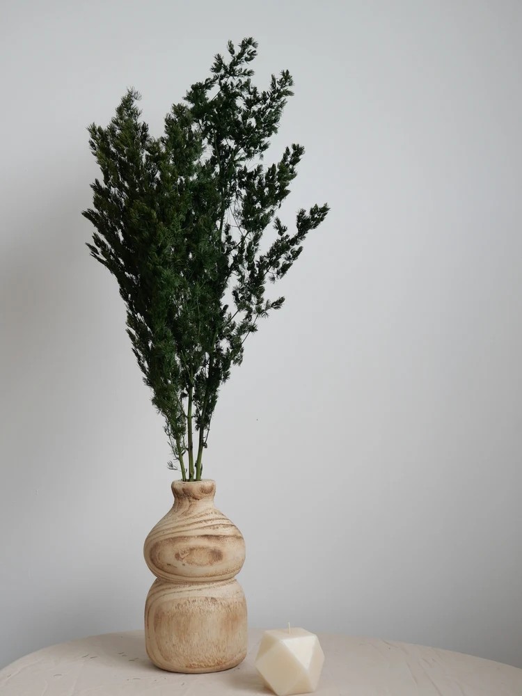 Ming fern stabilisé décoration intérieure