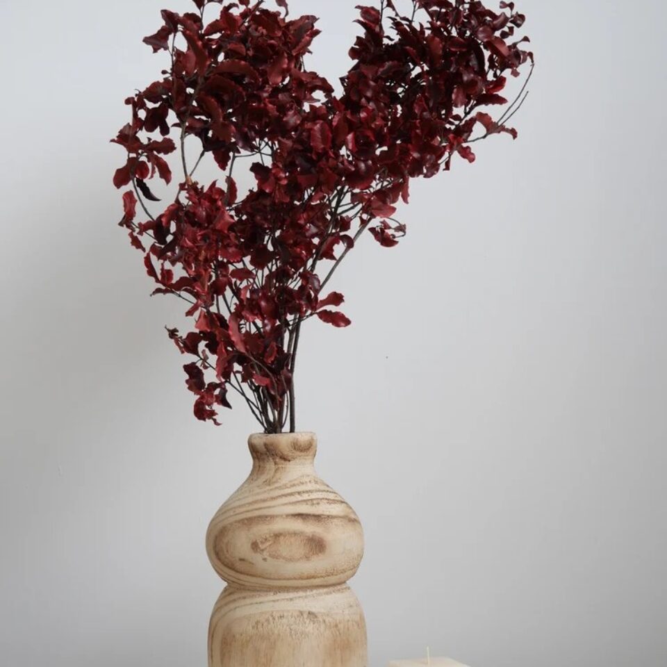 Pittosporum Stabilisé
