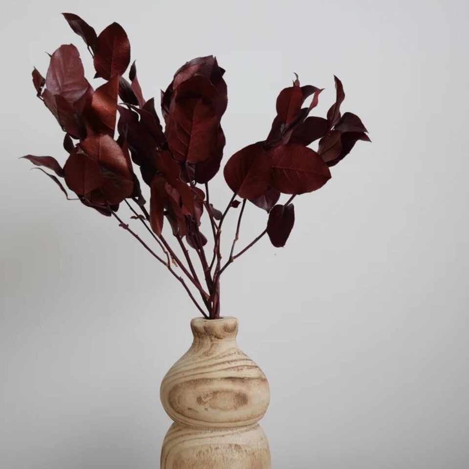 Salal Stabilisé