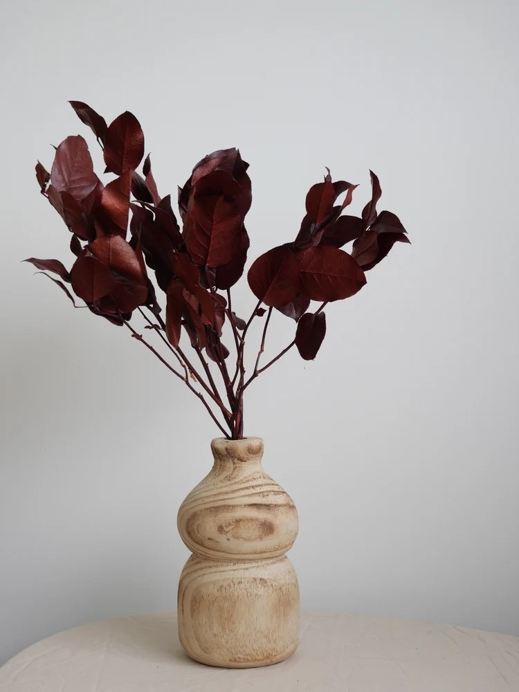 Salal rouge stabilisé décoration intérieure