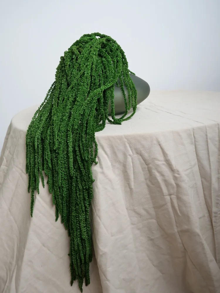 Amarante verte foncée stabilisée