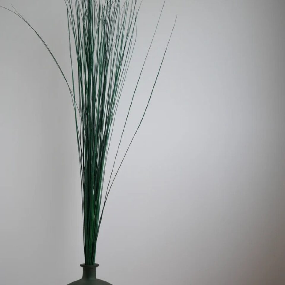 Steel Grass Stabilisé