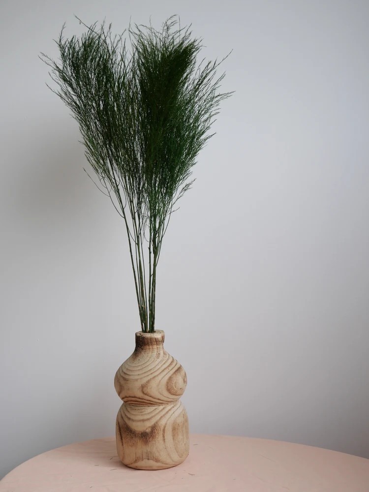 Tree fern vert stabilisé decoration interieure