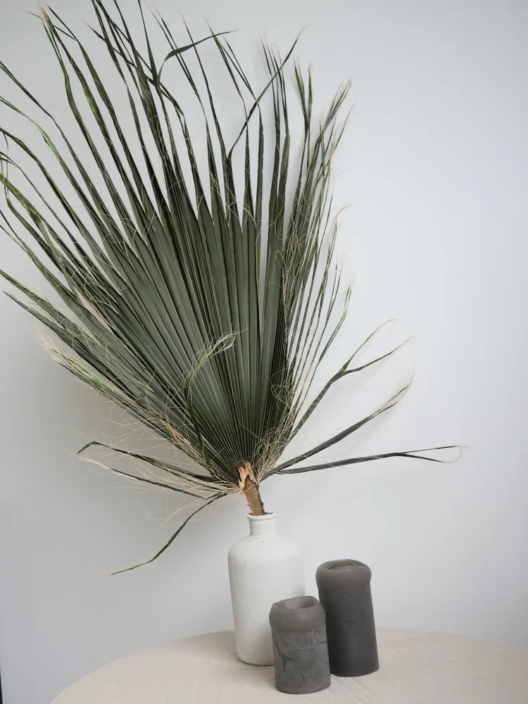Palme de washingtonia verte stabilisée dans pot