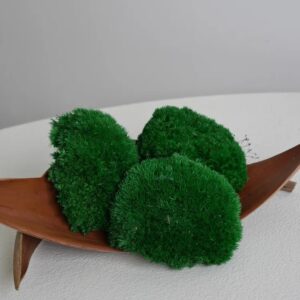 Mousse Boule Stabilisée vert foncée