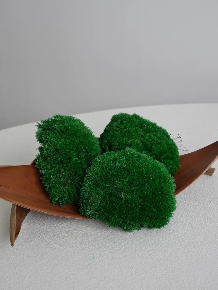 Mousse Boule Stabilisée vert foncée