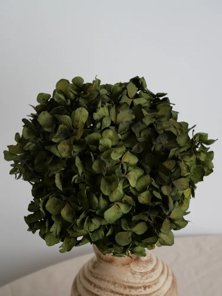 Hortensia Stabilisé vert olive boule