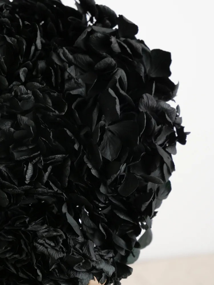 Hortensia Stabilisé noir détails