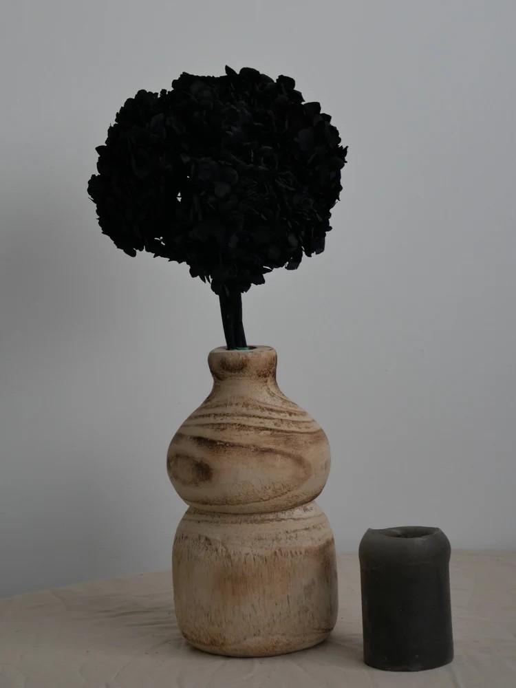 Hortensia Stabilisé noir décoration intérieure