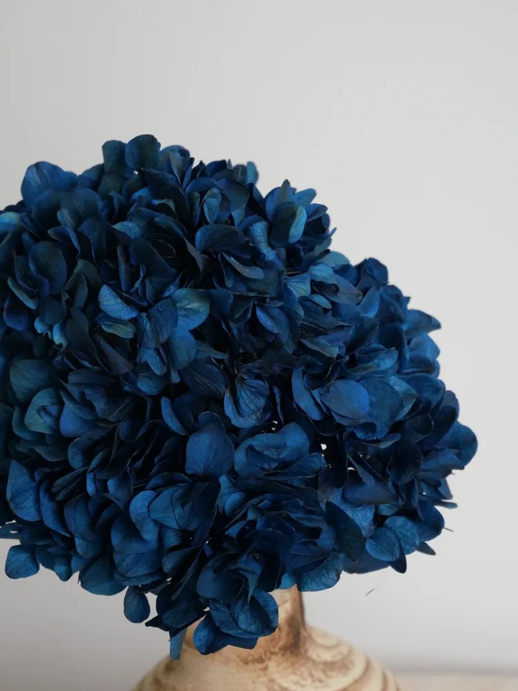 Hortensia Stabilisé bleu détails