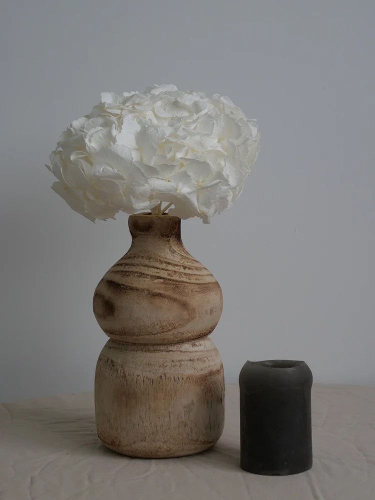 Hortensia Stabilisé blanc décoration stabilisée