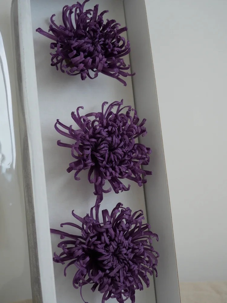 Chrysanthème Anastasia Stabilisé violet boite